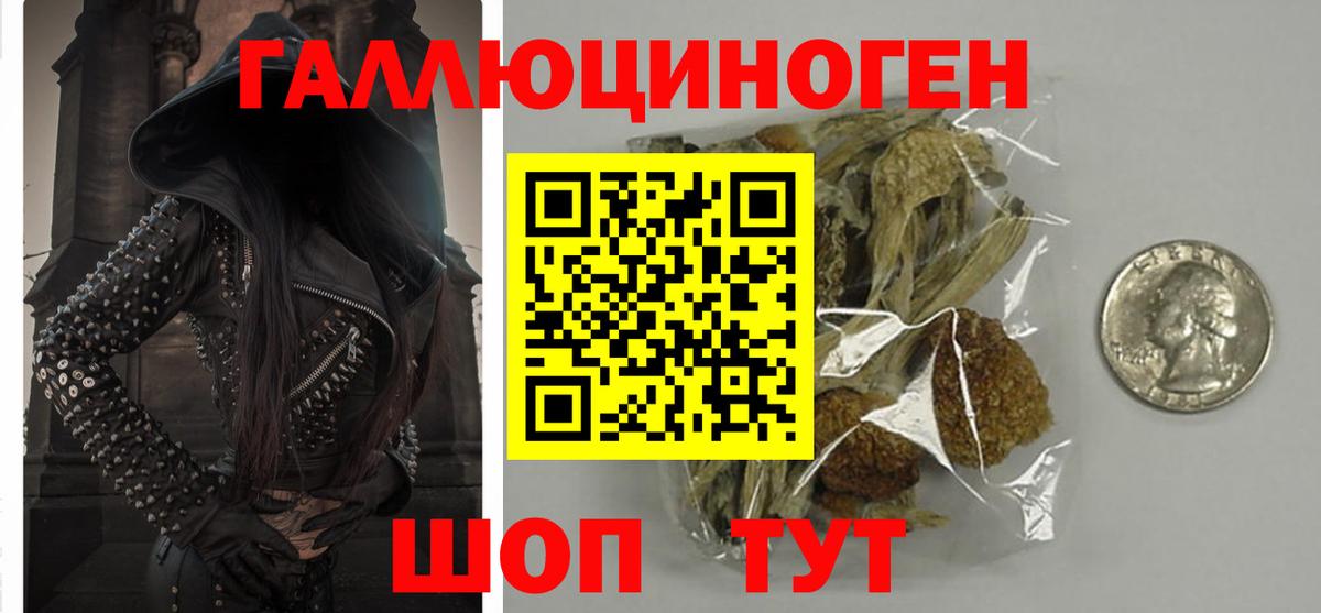 Псилоцибиновые грибы Полевской